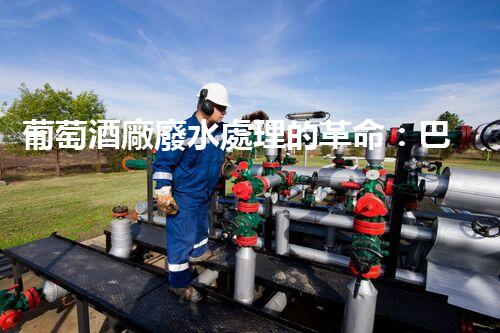 葡萄酒廠廢水處理的革命：巴洛仕的創(chuàng)新技術(shù)！